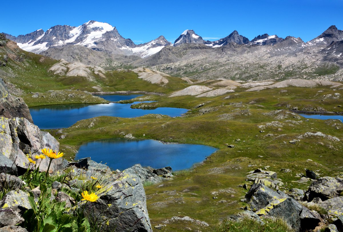 Allibert Trekking tweet media
