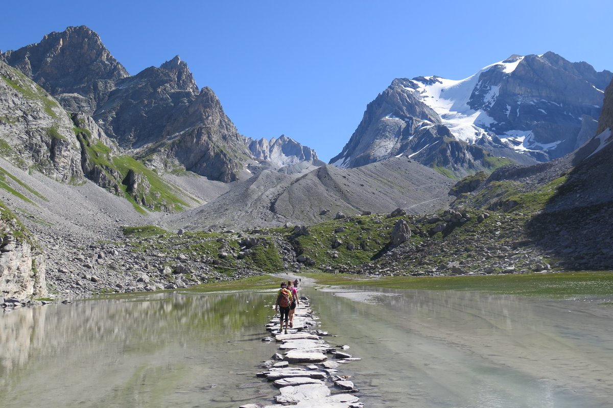 Allibert Trekking tweet media