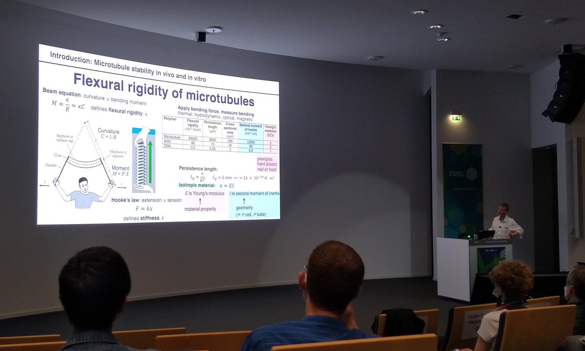 Day 2 at #EESMicrotubules starting off with a masterclass on flexural rigidity, strains, tubulin exchange and protein herding in the keynote from @JoeHowardd