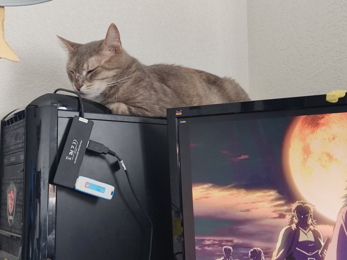 triodechats's tweet image. Coucou les petits potes !
On avait un peu disparu parce qu'il se passe plein de trucs pour Mapa : le mémoire qu'il est enfin fini, la recherche d'un nouvel appartement, des histoires de travail et plein d'examens de blouse
Sinon nous on va bien, on a eu nos friandises d'anniv !