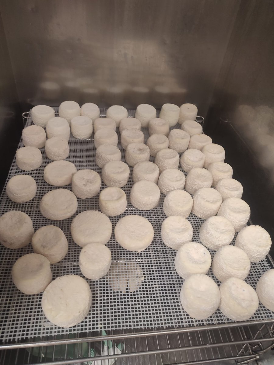 Privilégiez les circuits courts en vous rendant directement à la nouvelle Chèvrerie de la Gordolasque 🐐 ou sur le marché de #Belvédère pour déguster de délicieux fromages préparés par des artisans du Haut-Pays 🌿

📸Chèvrerie de la Gordolasque (fb)
#ExploreNiceCotedAzur