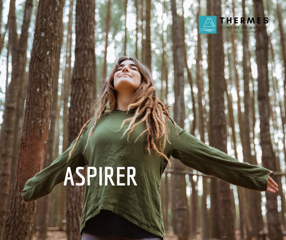 Balineae tweet media