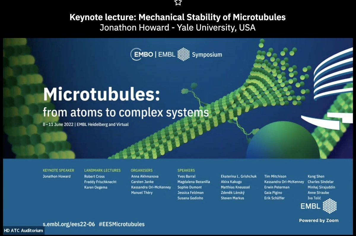 Sonal Shree (@sonal__shree) on Twitter photo 3AM talk!!! But it is such a great treat to hear @JoeHowardd Keynote lecture #EESMicrotubules
#virtualattendee <a href="/thehowardlab/">Howard Lab</a> 3AM talk!!! But it is such a great treat to hear @JoeHowardd Keynote lecture #EESMicrotubules
#virtualattendee <a href="/thehowardlab/">Howard Lab</a>