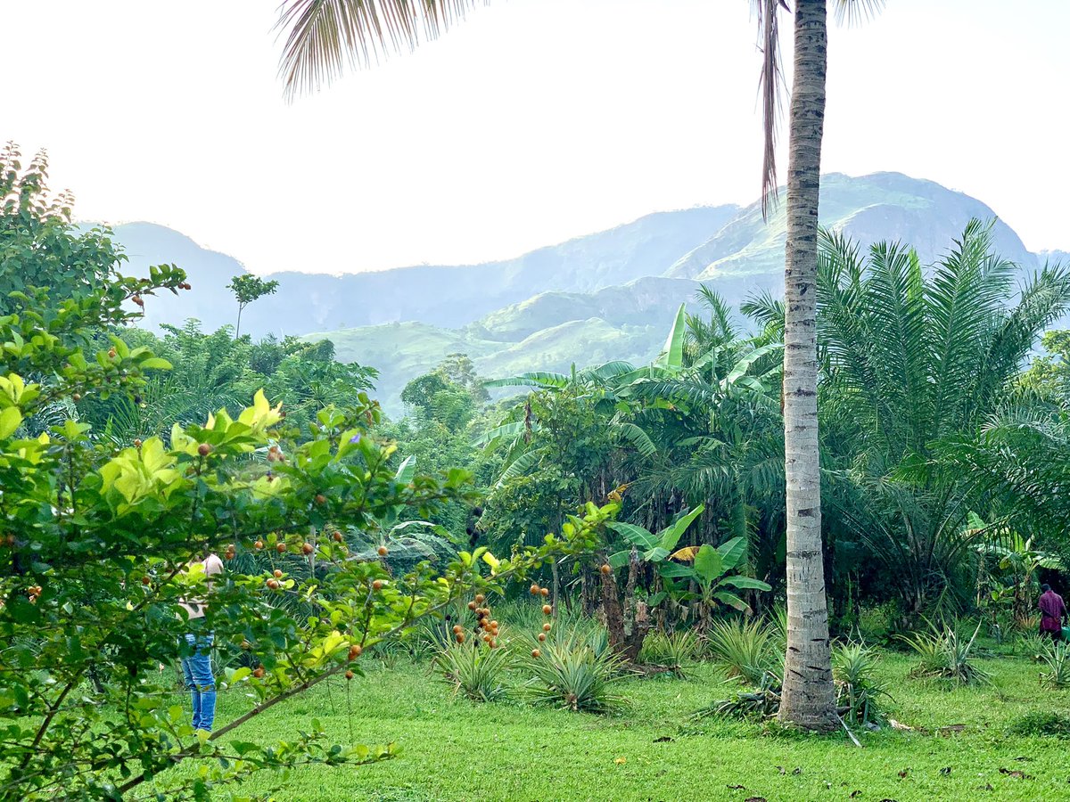 donmcwaly's tweet photo. If the #view from your window ain’t this #beautiful, go back to #sleep. https://t.co/P3ogzjKDml