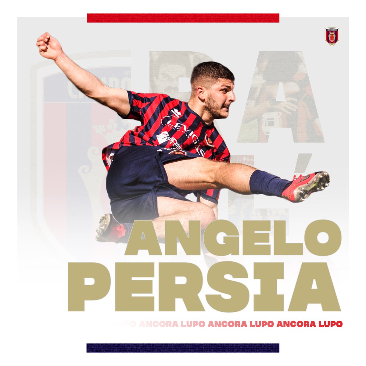 🔴🔵 ANCORA LUPO 
Il centrocampista Angelo Persia in rossoblù fino al 2024!

👉sscittadicampobasso.it/angelo-persia-…