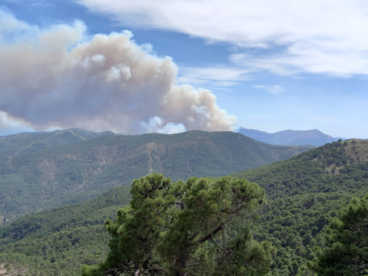 Jpild11's tweet photo. El modelo precario de contratación de "bomberos/as forestales a tiempo parcial" no sólo es injusto con nosotros, sino que es desastroso para la efectividad de nuestro trabajo, como se evidencia más que nunca en el #IFPujerra.

¿Quieres saber por qué? Te lo explico.
Abro hilo🧵 https://t.co/P5Gbd5Yean