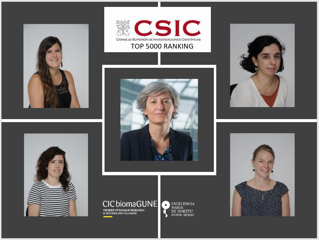 CIC biomaGUNE (@cicbiomagune) on Twitter photo 🤩5⃣ investigadoras de <a href="/CICbiomaGUNE/">CIC biomaGUNE</a> en el ranking de las 5000 científicas más destacadas elaborado por <a href="/CSIC/">CSIC</a>
Aitziber L. Cortajarena
Susana Carregal-Romero
Isabel García-Martín
Dorleta Jiménez de Aberasturi
Malou Henriksen-Lacey
<a href="/BiomagMfb/">Molecular&FunctionalBiomarkersLab</a> <a href="/BioMolNano_bmG/">Cortajarena Lab-BioMolNano-CIC biomaGUNE</a> <a href="/LizMarzan_Lab/">BioNanoPlasmonicsLab</a> 🤩5⃣ investigadoras de <a href="/CICbiomaGUNE/">CIC biomaGUNE</a> en el ranking de las 5000 científicas más destacadas elaborado por <a href="/CSIC/">CSIC</a>
Aitziber L. Cortajarena
Susana Carregal-Romero
Isabel García-Martín
Dorleta Jiménez de Aberasturi
Malou Henriksen-Lacey
<a href="/BiomagMfb/">Molecular&FunctionalBiomarkersLab</a> <a href="/BioMolNano_bmG/">Cortajarena Lab-BioMolNano-CIC biomaGUNE</a> <a href="/LizMarzan_Lab/">BioNanoPlasmonicsLab</a>
