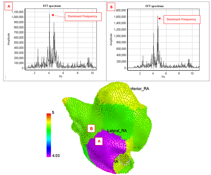 Pawel Kuklik, PhD tweet media