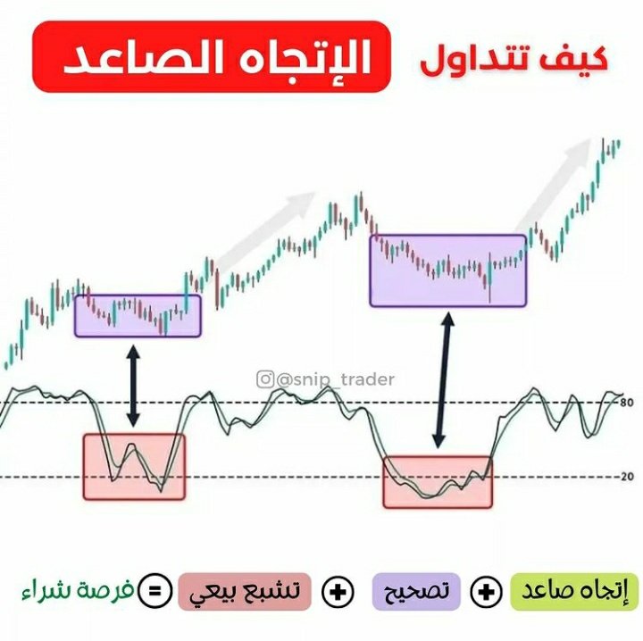 Amal (@aa2amal) on Twitter photo 