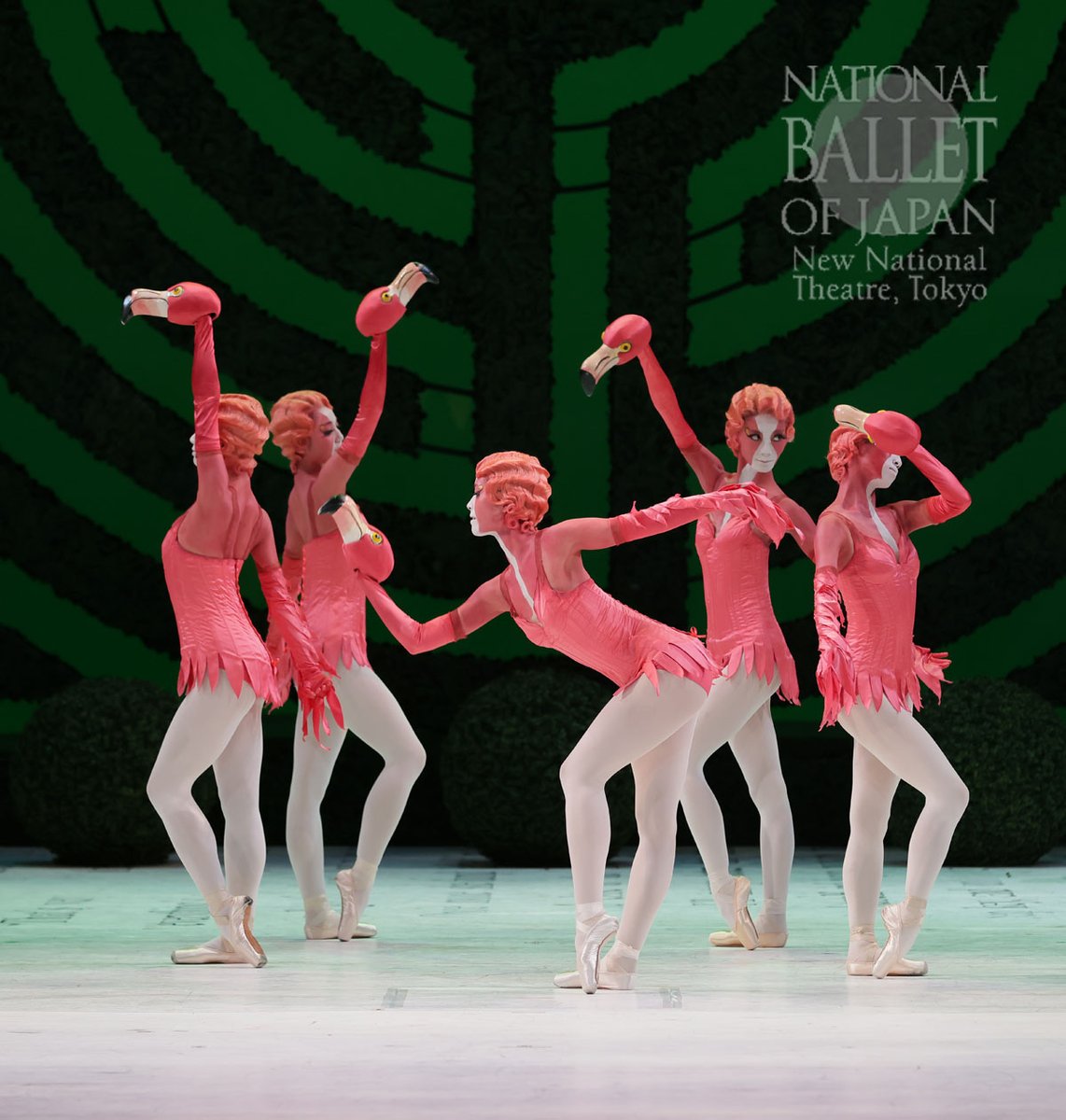 バレエ衣装「不思議の国のアリス」 アリスB 不思議の国のアリス 新国立劇場バレエ : Pour passer le temps バレエ