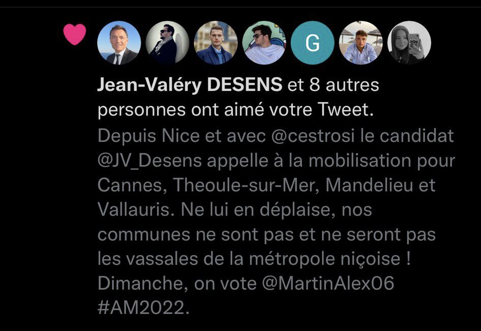 certaaaa's tweet photo. Heureux de voir que vous êtes d’accord. Ce dimanche, faites comme @JV_Desens et votez @MartinAlex06 pour le bien de notre circonscription ! https://t.co/9Z2WDa0EM1