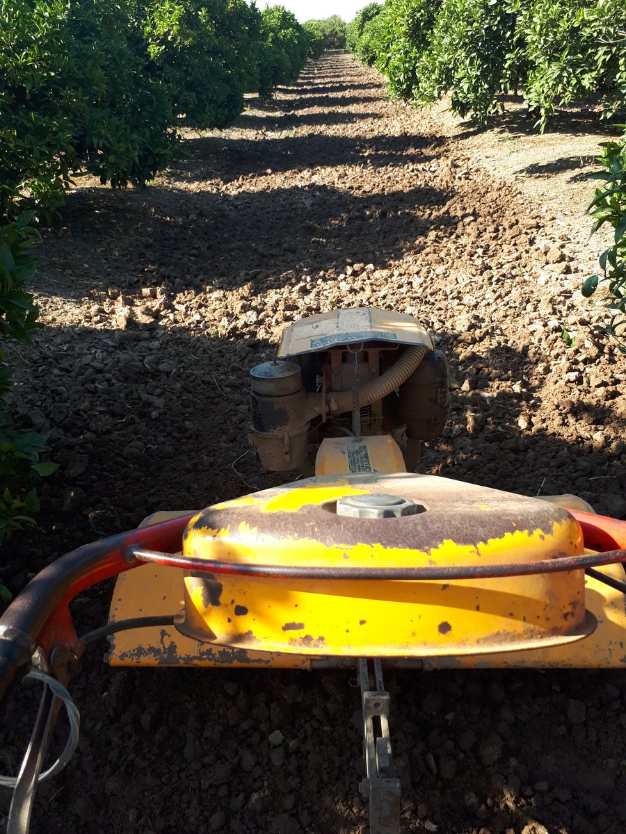 50 anys. Dia rere dia. Any rere any. Estació rere estació i sempre en perfecta unió.