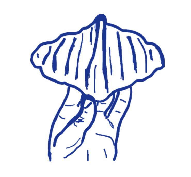 Bread and Butler tweet media