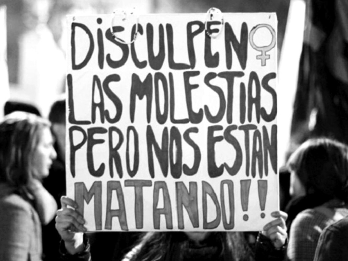 Maite tweet media