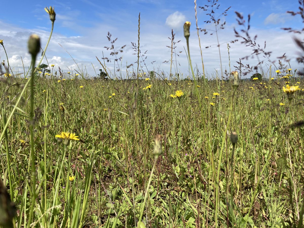 Fantastic to hear from Toby Savage @SouthGlouceste2 about their work to “restore nature now and for future generations” #WENPConference2022