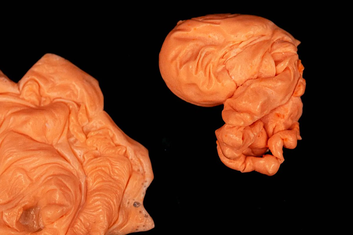 Exquisite material experiments from our <a href="/D_I_Studio/">Design Investigations</a> students exploring deep time and alternate histories of evolution 🌟 💥 (An exciting collaboration with the  Department of Geology and Palaentology @nhm_wien!)