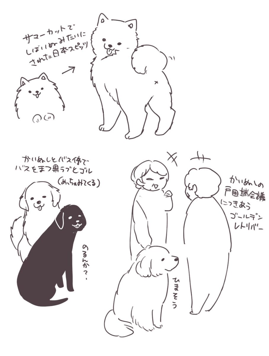 夕方のさまざまな犬たち 