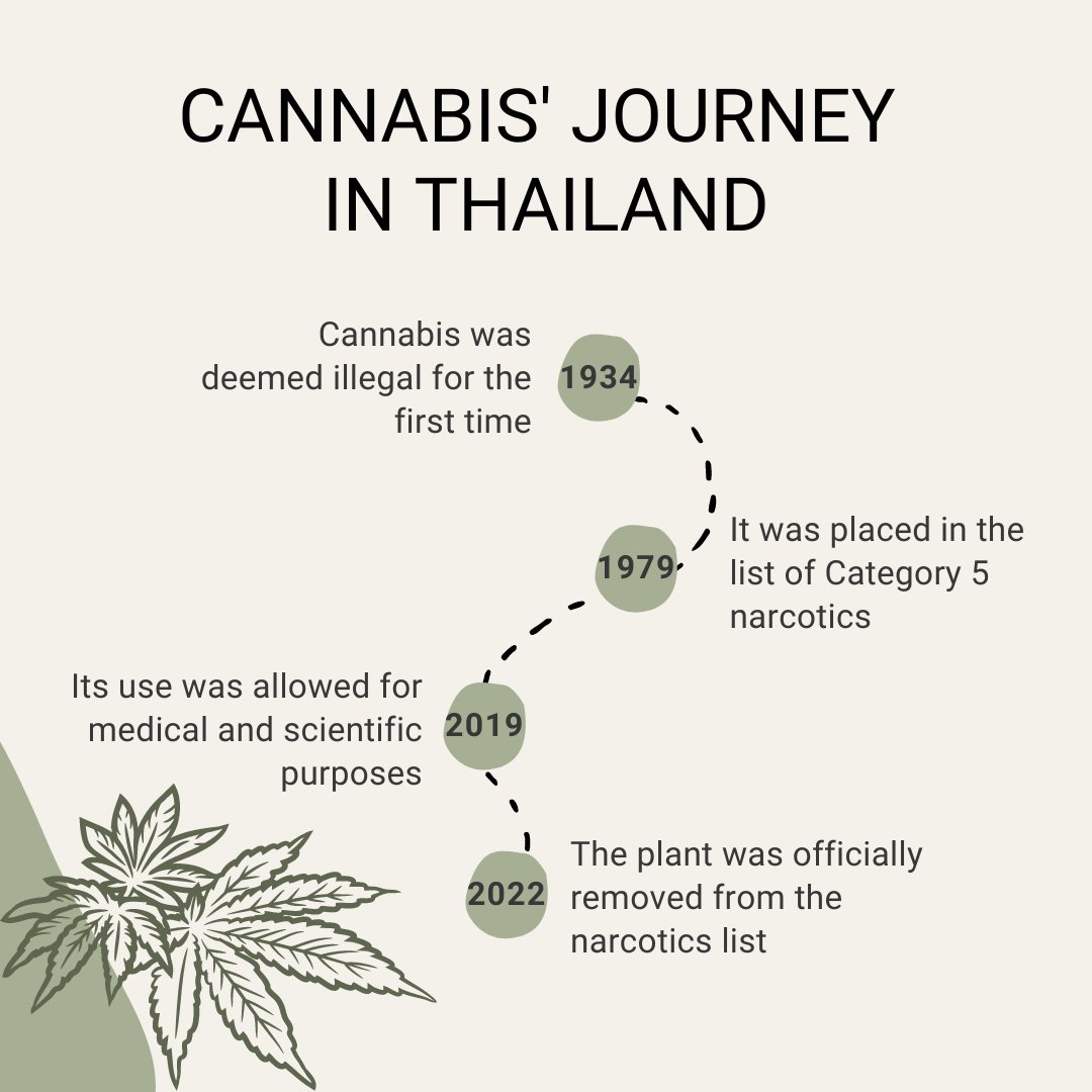 The use of #cannabis in #Thailand dated back centuries ago. It was recognised as traditional medicine and common cooking ingredient until it first became illegal in 1934. Its medical use was brought back 3 years ago before the plant is removed from the narcotics list today.