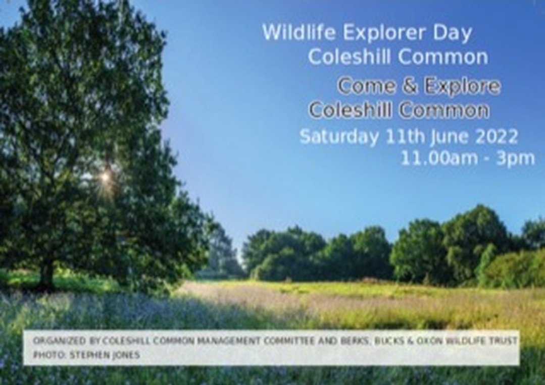 ChilternsCCC's tweet photo. Our Summer Festival of events celebrating Chilterns Wildlife starts this Sunday with a Wildlife Explorer Day at Coleshill Common.

Join @RangerNutkin @BBOWT and all the birds, plants and butterflies from 11am. Free, no need to book.

Details 👇
https://t.co/l5t0wcK8m7 https://t.co/FITOmtLbRN