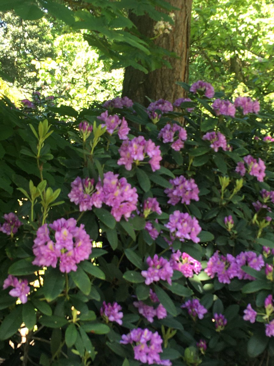 Tracey (@pebble_photo) on Twitter photo 