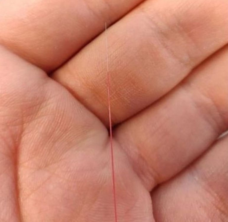 abhishxrmx's tweet photo. The size of a fiber optic wire capable of supplying a Home with high-speed internet. https://t.co/7N6LlXFK8q