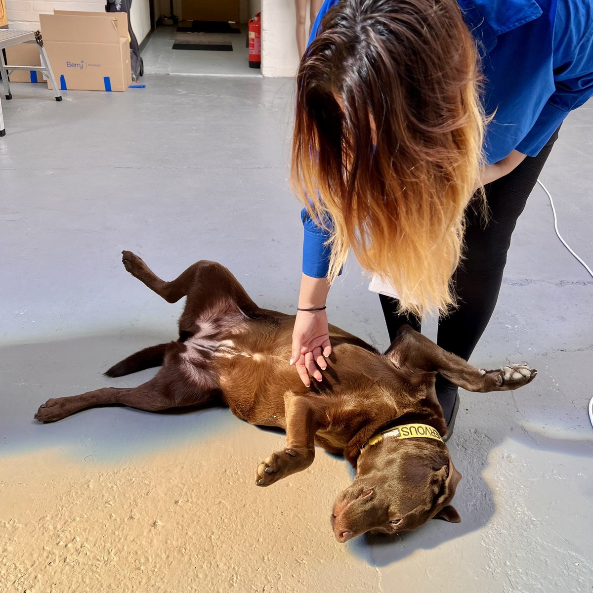 Cactus Images tweet media