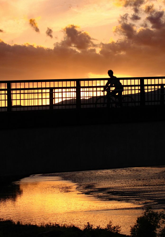 出張写真撮影your Photo Shoot Chokottoconcier Twitter