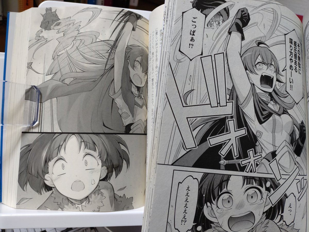 コミカライズの際、三弥カズトモ先生の挿絵を参考にさせて頂きました  