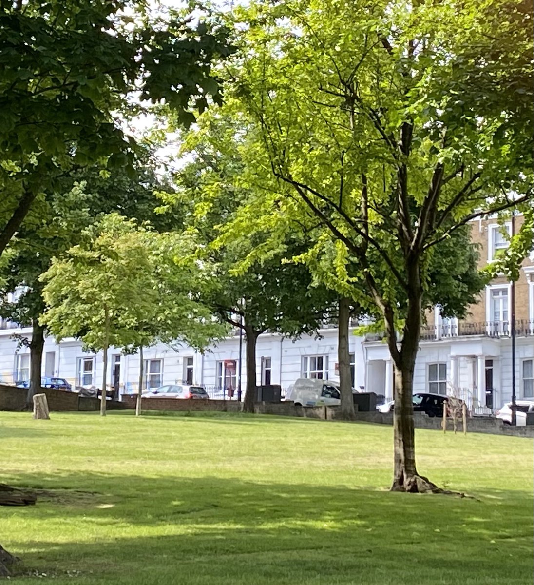 Compare & contrast: two neighbouring estates on the same day - @lambeth_council (left) a glorious meadow of wildflowers, butterflies & bees. @lb_southwark (right), fully mown with no wild patches; a monoculture of grass without any butterflies or bees 
@LGSpace #gipsyhill #se19