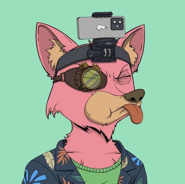 Loudricheth's tweet photo. Whale Call × OkayFox🦊

🏆2x WL for OkayFox 

to enter:
1- Like, RT and tag 3 friends
2- Follow 
@Loudricheth &amp; @OkayFoxNFT 
3- Join their discord: https://t.co/j2AQRZGdYX
 
Don’t miss out 🔥

Winner announced in 48h🕛 https://t.co/BLiHHk1uJV