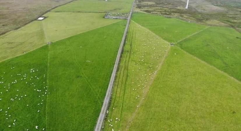 We will be in attendance at The Yeomans open day at Llwyn y Brain, Adfa, Newtown, Powys, SY16 3DA on 12.00pm Tuesday 21st June 2022.

Our team will be on hand to offer any advice on trace element supplementation for cattle &amp; sheep.