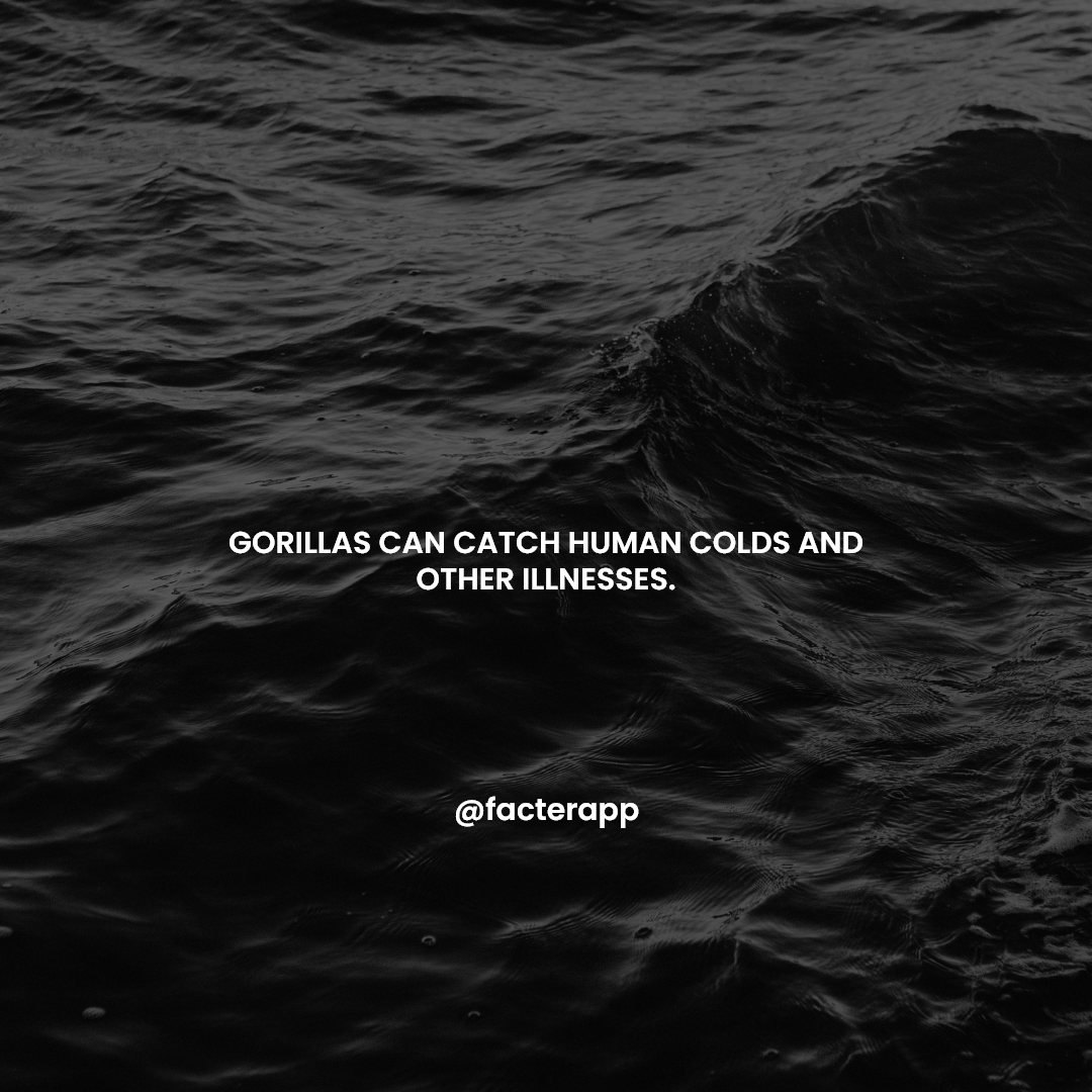 facterapp's tweet photo. Facter App is now available. Click the https://t.co/dBye2nJG4s  download app for the most interesting facts

#inspiration #facts #quotes #app #android #promote #promotion #androidapp
#blogpost #didyouknow #memes #questions #science #blog #history #quoteoftheday #facterapp https://t.co/fERHgkjcvH