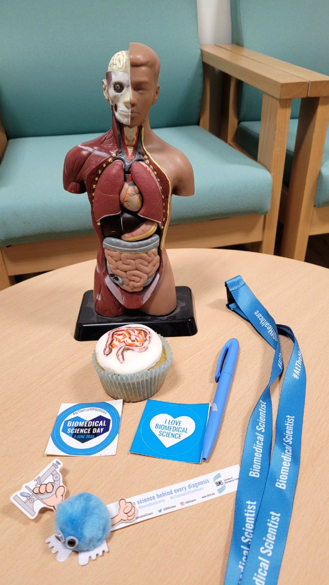 BTH Mortuary & Bereavement Services (@bthmortuary) on Twitter photo Happy Biomedical Science day to all our wonderful Pathology colleagues! 🧬🧫🧪⚗️ @BthPathology <a href="/BTHCSS/">CSSDivisionBVH</a> <a href="/IBMScience/">IBMS #AtTheHeartOfHealthcare</a> @AAPTTweets <a href="/RCPath/">RC of Pathologists</a> <a href="/BlackpoolHosp/">NHS Blackpool Teaching Hospitals 💙🌈</a> Happy Biomedical Science day to all our wonderful Pathology colleagues! 🧬🧫🧪⚗️ @BthPathology <a href="/BTHCSS/">CSSDivisionBVH</a> <a href="/IBMScience/">IBMS #AtTheHeartOfHealthcare</a> @AAPTTweets <a href="/RCPath/">RC of Pathologists</a> <a href="/BlackpoolHosp/">NHS Blackpool Teaching Hospitals 💙🌈</a>