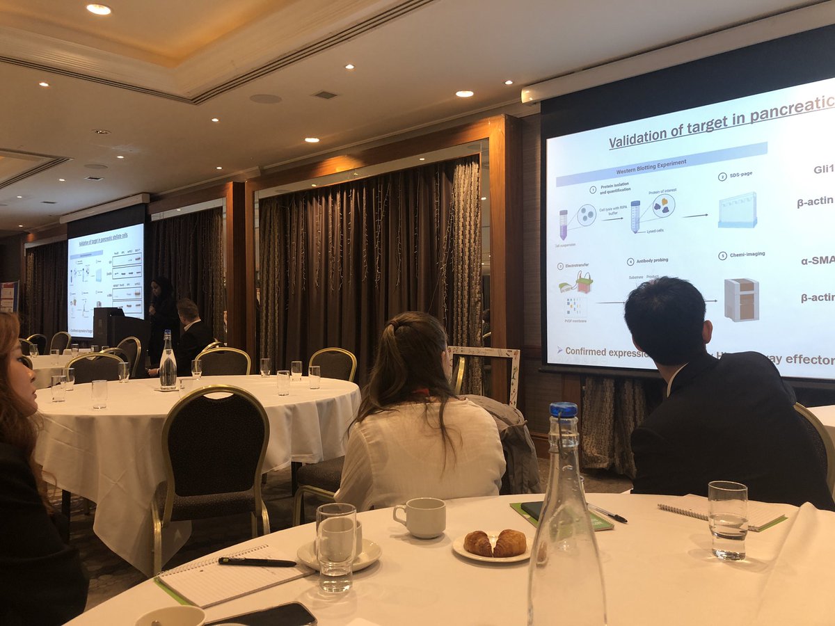 Dr Niall M Byrne (@niall_m_byrne) on Twitter photo Great start to the Postgraduate Away Day <a href="/pharmacyatQUB/">QUB Pharmacy School</a> with talks from <a href="/ElaineJGilmore/">Elaine</a>, Tongchuan Wang & Ubah Abdi. Nice to see synergy across the nanomedicine and biotherapeutics research groups - lots of scope for collaboration! <a href="/Dr_JA_Coulter/">Prof Jonathan Coulter</a> <a href="/DrNiamhBuckley/">Niamh Buckley</a> <a href="/aljamal_wafa/">Wafa Al-Jamal</a> Great start to the Postgraduate Away Day <a href="/pharmacyatQUB/">QUB Pharmacy School</a> with talks from <a href="/ElaineJGilmore/">Elaine</a>, Tongchuan Wang & Ubah Abdi. Nice to see synergy across the nanomedicine and biotherapeutics research groups - lots of scope for collaboration! <a href="/Dr_JA_Coulter/">Prof Jonathan Coulter</a> <a href="/DrNiamhBuckley/">Niamh Buckley</a> <a href="/aljamal_wafa/">Wafa Al-Jamal</a>
