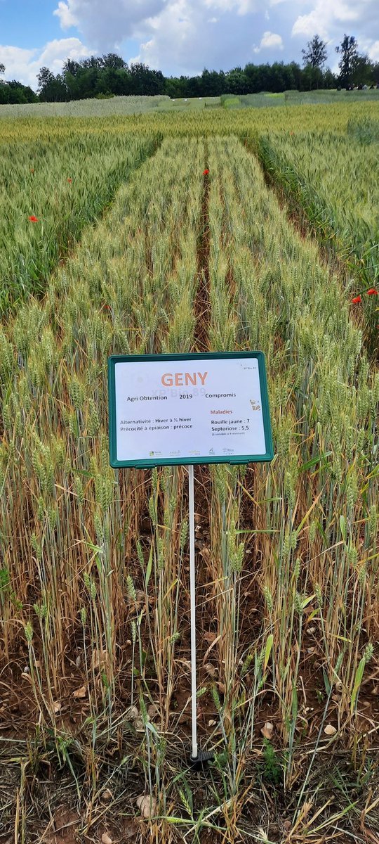 Eric Ducornet tweet media