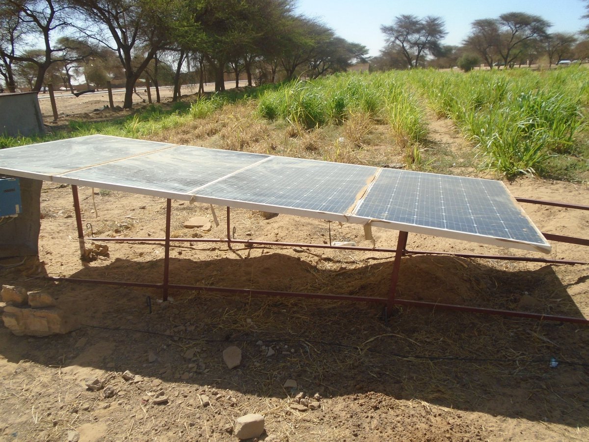 Prodefi_Mr's tweet photo. Ferme expérimentale d'intégration Cultures Fourragères et élevage de chèvres laitières. Modèle d'adaptation au changement climatique. #PRODEFI #IFAD #ASAP https://t.co/FUHO5L7jyp