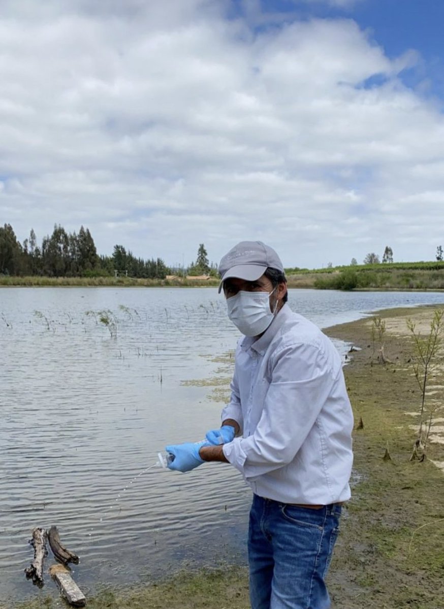 We’ve been out in the field with one of the world’s top wine brands <a href="/conchaytoro/">Viña Concha y Toro</a> 🍷 taking #eDNA #water samples 💧 from its estates and forests. 
The initiative will help map local #biodiversity &amp; contribute data towards <a href="/ebioatlas/">eBioAtlas</a> &amp; <a href="/iucn/">IUCN</a>'s global map.