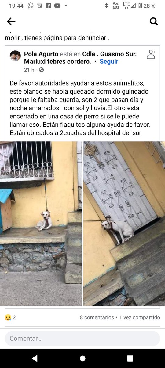 Bloque Defensores An tweet media