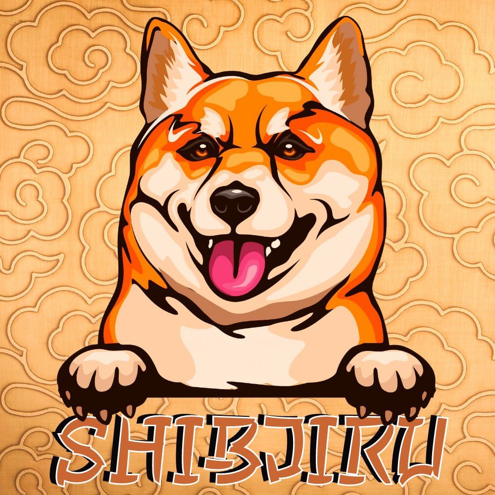 SHIBJIRU INU tweet media