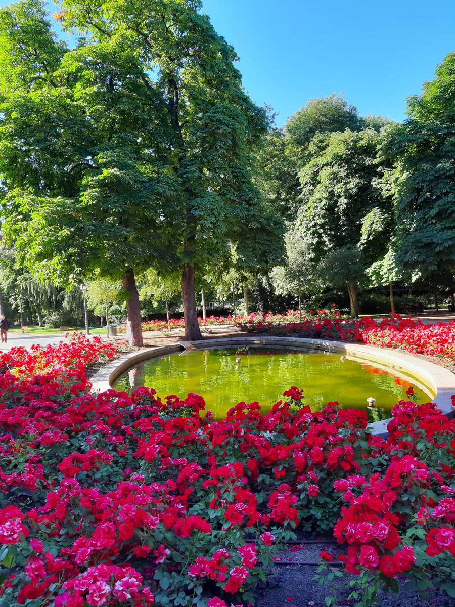 FCEEspana's tweet photo. Año tras año lo hablamos entre nosotros, pero no estamos seguros de decirlo lo suficiente: ¡Nos encanta que la @FLMadrid se celebre en el Parque de El Retiro!
Os esperamos en las casetas 82 de la #LibreríaJuanRulfo y 322 del #FCEEspaña.
#FLMadrid22 #HojeaElMundo #LaFeriaAFondo https://t.co/HKYD19WU4m