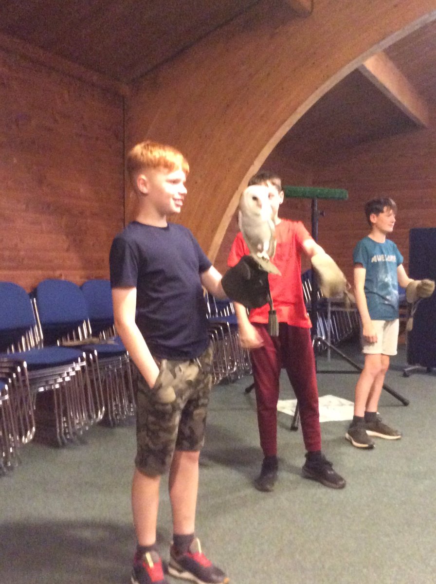 We had a hooting time meeting some birds of prey yesterday @WhitemoorL