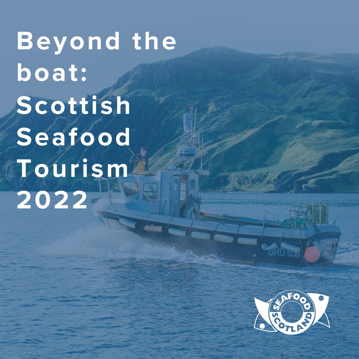 SeafoodScotland's tweet photo. Missed any of the #BeyondtheBoat webinars so far? Don’t worry, you can catch them online, and sign up for our next event on 15 June, which will focus on insights and how to develop your product here: https://t.co/rialw5ewh8 @VisitScotNews @KnowledgeBankSc https://t.co/kiarfyR6ti