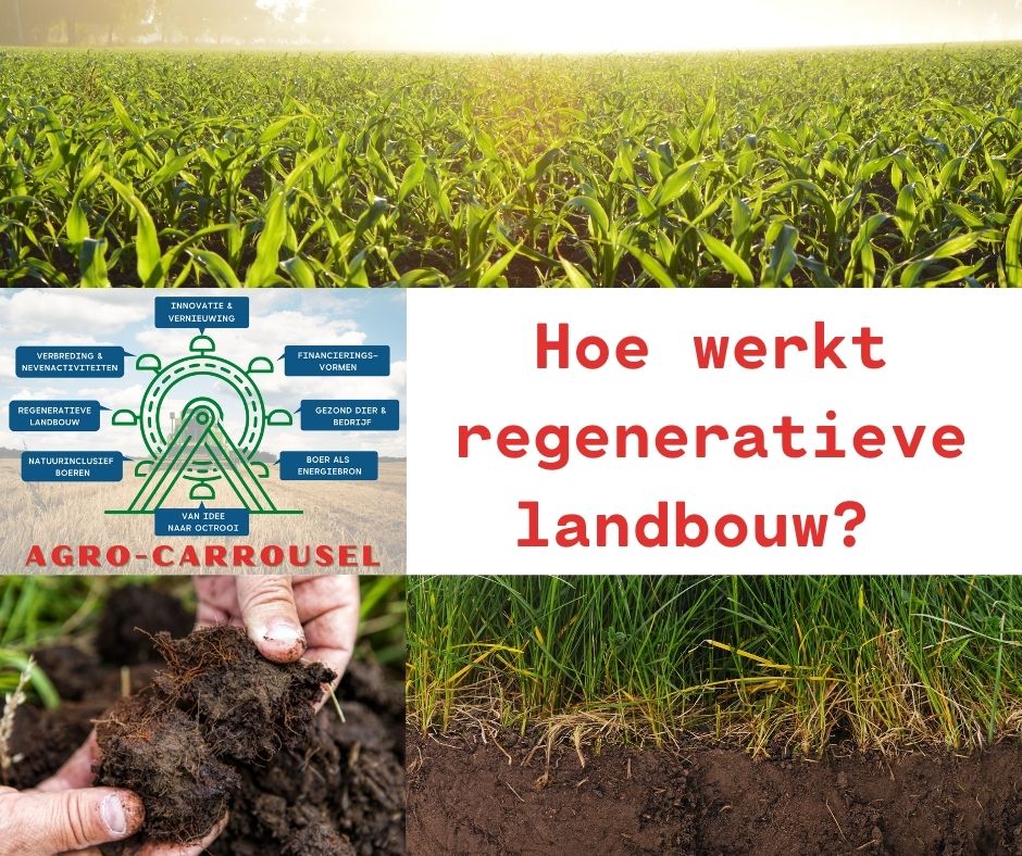 HOE WERKT REGENERATIEVE LANDBOUW ? |  Agro-Carrouselbijeenkomst op 22 juni bij akkerbouwbedrijf Velema in De Krim. Roland Velema deelt zijn ervaringen  Bert Muller van Agro Accént geeft inzicht in  regeneratieve landbouw. Aanmelden: bit.ly/3xyiTkA