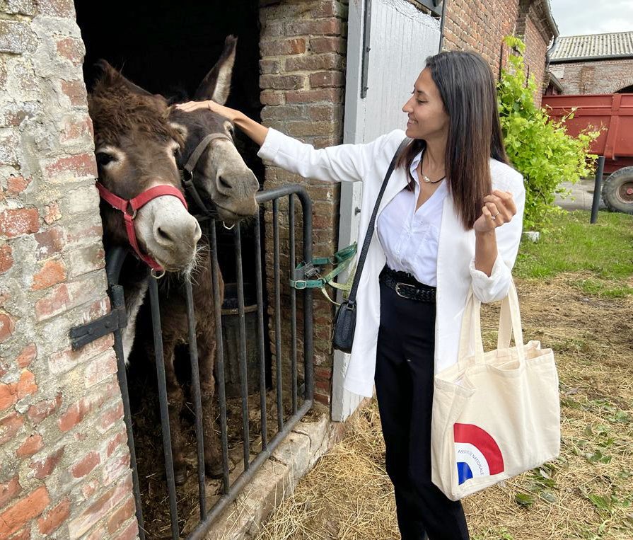 LolaPuissant's tweet photo. Deputé, je m’engage à lutter contre la maltraitance animale qui n’est plus supportable dans notre société. Il faut renforcer les peines sanctionnant les infractions commises envers les animaux. Votez pour une candidate qui améliorera la situation des animaux. #legislatives2022 https://t.co/n6r00zs5RO