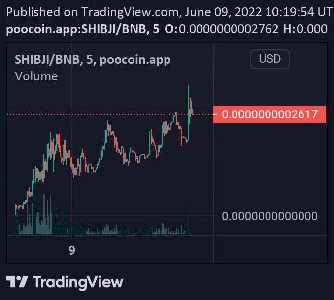 SHIBJIRU INU tweet media