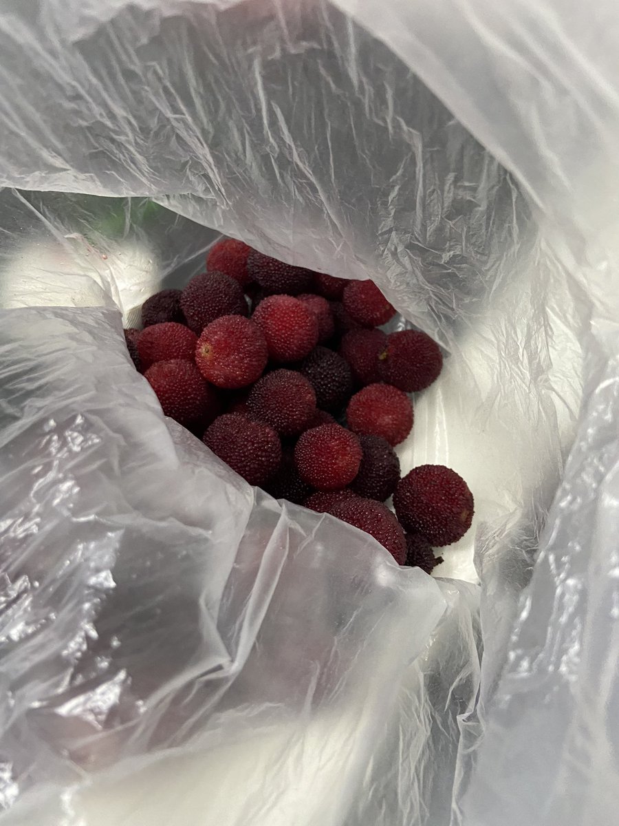 (´▽`ʃƪ)被赠送了一袋杨梅