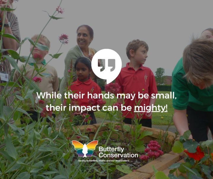 savebutterflies's tweet photo. While their hands may be small, their impact can be mighty!

Get children out in the open air and learn about the natural environment through creative activities. 🦋 

Read our blog to find out more 👉 https://t.co/yqZVAN599P

#SaveButterflies #MothsMatter #Gardening #Nature https://t.co/eqy1VHyQ3N