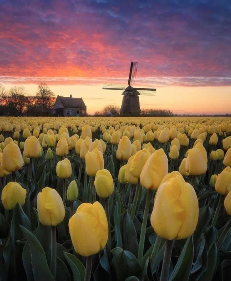 MojoWorcester's tweet photo. ***SPECIAL OFFER**
Through June
3 #artpacks #artkits for Β£100!!
***delivered or posted together
Get in touch for details π
#carehomeactivities #carehome @Artsincarehomes @DementiaFriends @AgeUKHW @AgeUKWMH @ArtsPrescript @Arts4Dementia #carecenter #Worcester #worcestershire https://t.co/7iZMqLN1MR