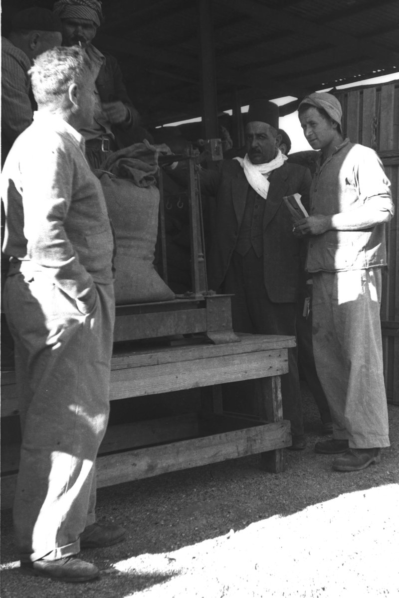صورة من عام 1948 تبرز معاملات تجارية بين تجار عرب ويهود في القرية التعاونية (كيبوتس) بيت ألفا شمالي…