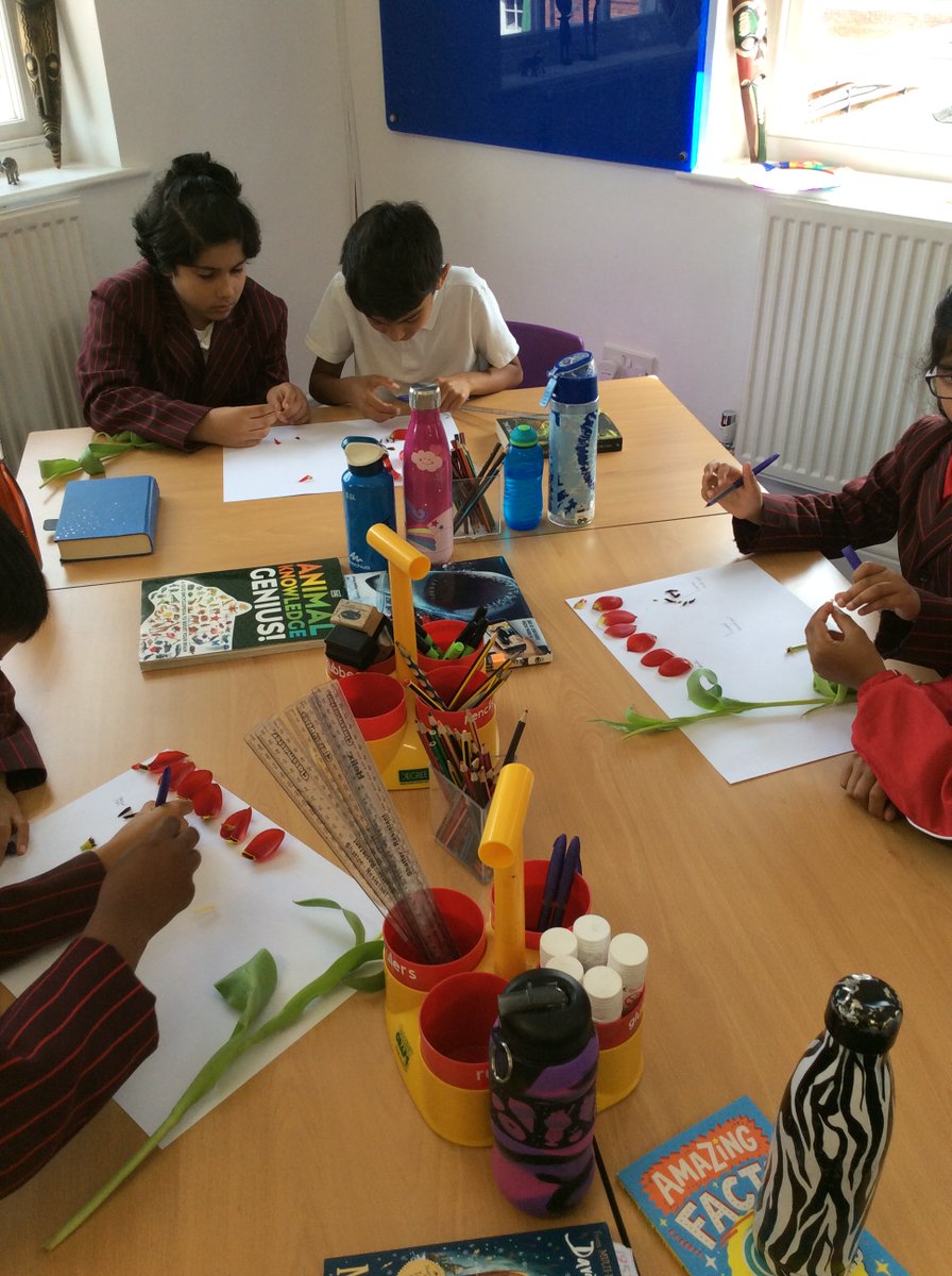 OrleyFarmSchool's tweet photo. Year 3's young botanists put their knew knowledge of flower anatomy to the test during today's flower dissection. #OFSScience #OFSCuriosity https://t.co/RlEUbKf2aw